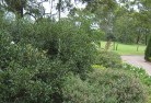 Carnes Hillresidential-landscaping-35.jpg; ?>