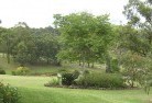 Carnes Hillresidential-landscaping-40.jpg; ?>