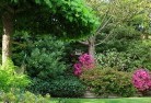 Carnes Hillresidential-landscaping-74.jpg; ?>
